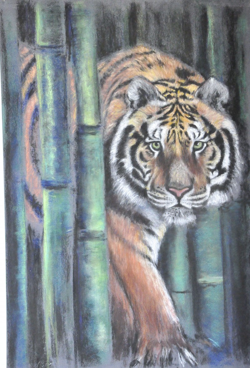 Tiger 50 x 65 cm 250 € ( ohne Rahmen )