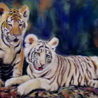 Junge Tiger 30 x 40 cm (verkauft)